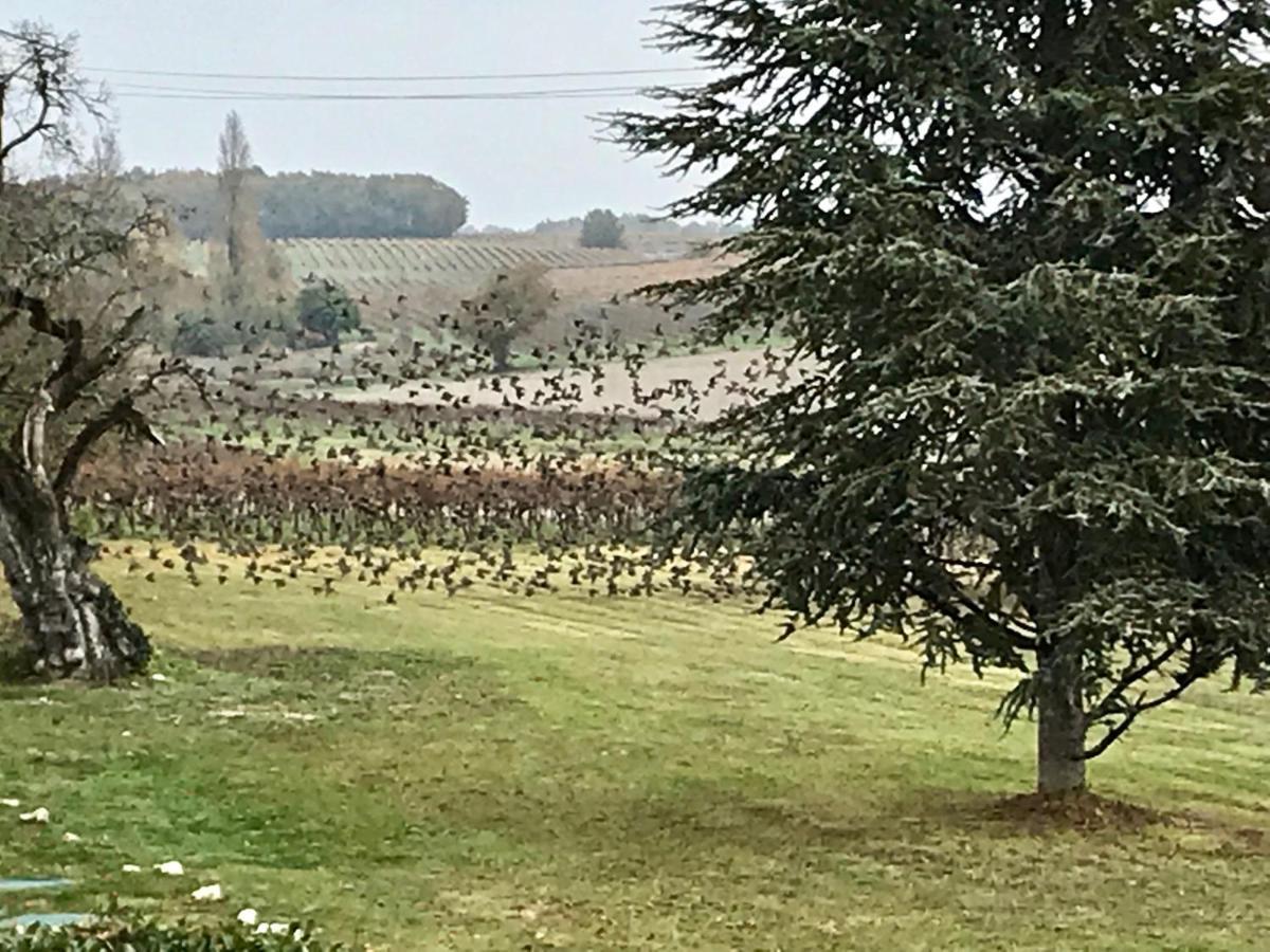 Le Pigeonnier Gite Verrieres  Exterior foto